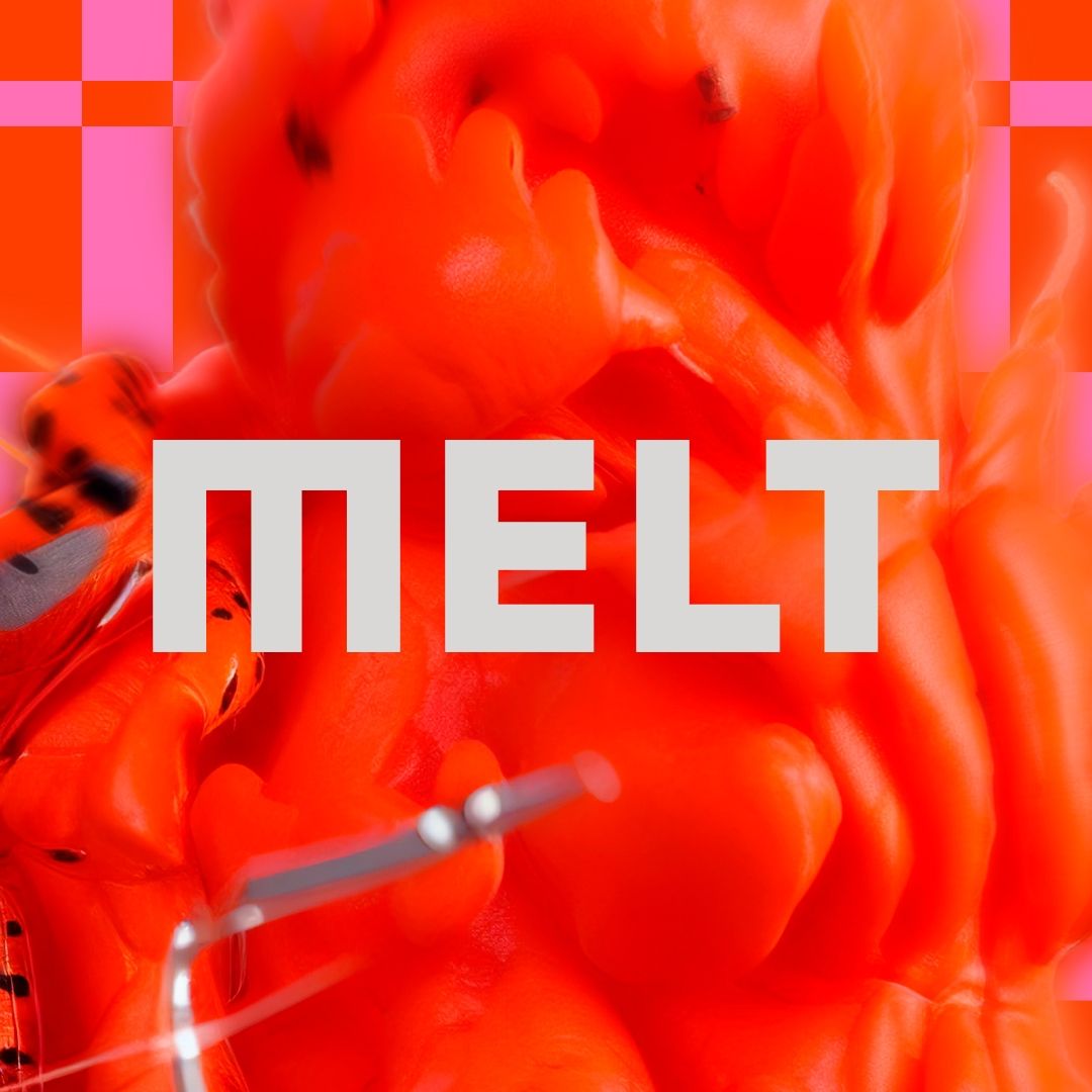 Melt Festival Reveals Full 2024 Lineup That Festival Site